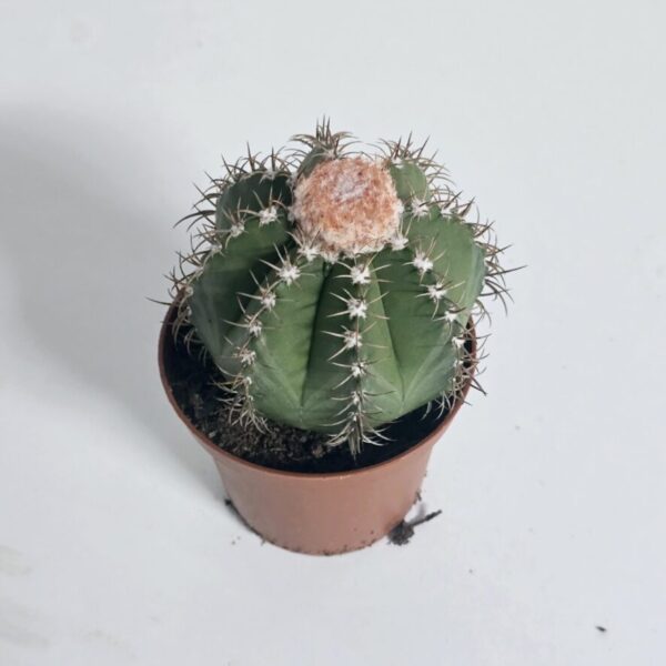 Screenshot 20260122 083139 gallery